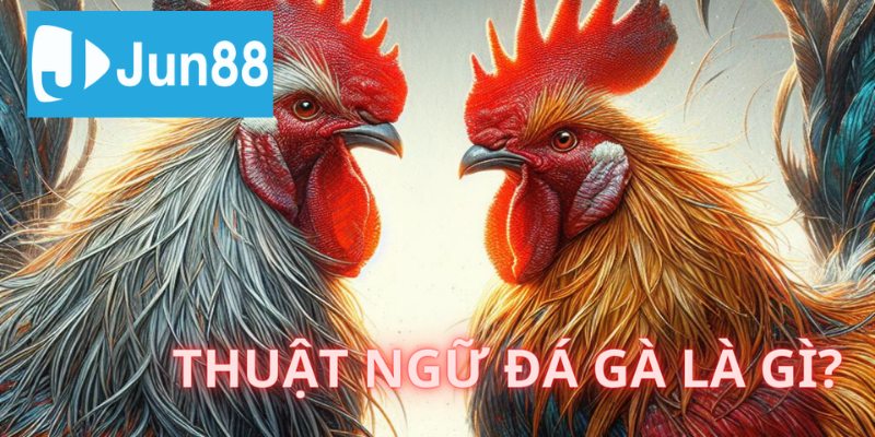 Tổng quan về các khái niệm trong chọi gà